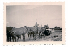 Christinenhof_Historie_Pferdegespann